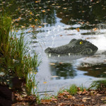 2.4G Summer Water Floating RC Crocodile Boat - menzessential