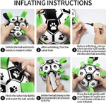 Interactive Pet Training Toy Ball