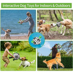 Interactive Pet Training Toy Ball