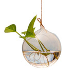 Joline - Hanging Glass Vase