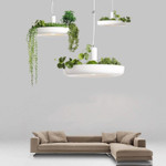 Lagerfeld - Nordic Plant Pendant Lights - menzessential