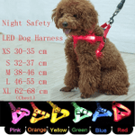 Rechargeable Luminous LED Dog Leash