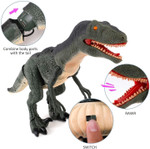 Remote Control R/C Walking Dinosaur Toy with Shaking Head, Light Up Eyes & Sounds (Velociraptor), Gift for kids  XH - menzessential