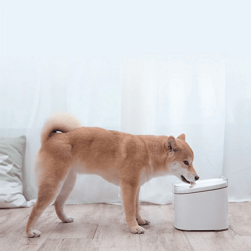 Smart Automatic Pet Water Dispenser