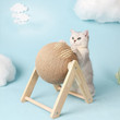 Borusu™ | Een spannend speeltje voor uw kat
