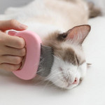 Kattenhaar verwijder massage kam