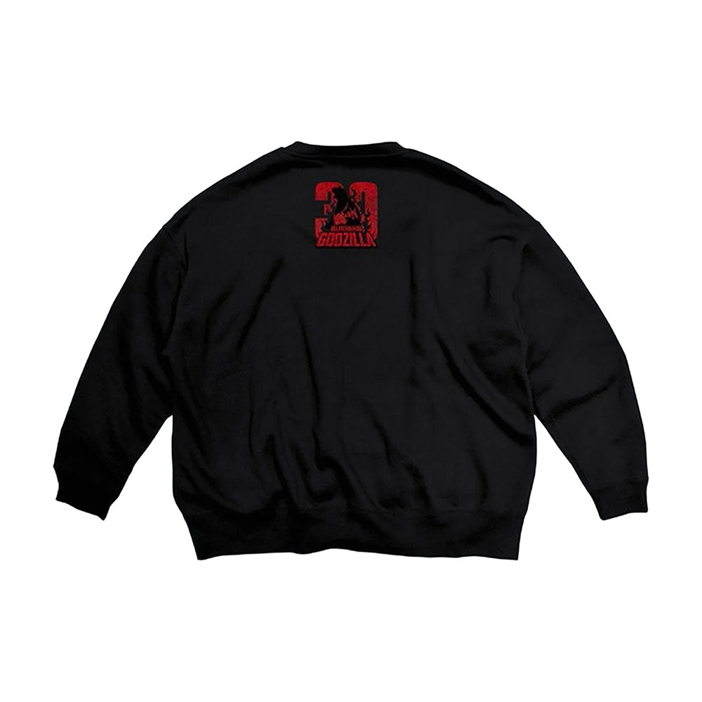 Godzilla Vs Destoroyah 30Th Anniversary Scene Illustration Sweatshirt Godzilla Store Merch Gift Idea