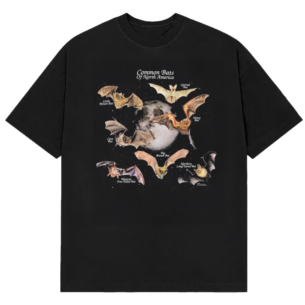 Online Ceramics Merch Common Bats Of North America T-Shirt Online Ceramics Apparel